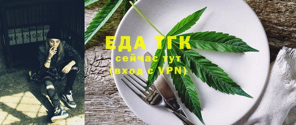 индика Няндома