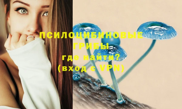 эйфоретик Нязепетровск
