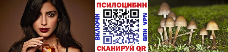 где продают   Бабаево  Галлюциногенные грибы прущие грибы 